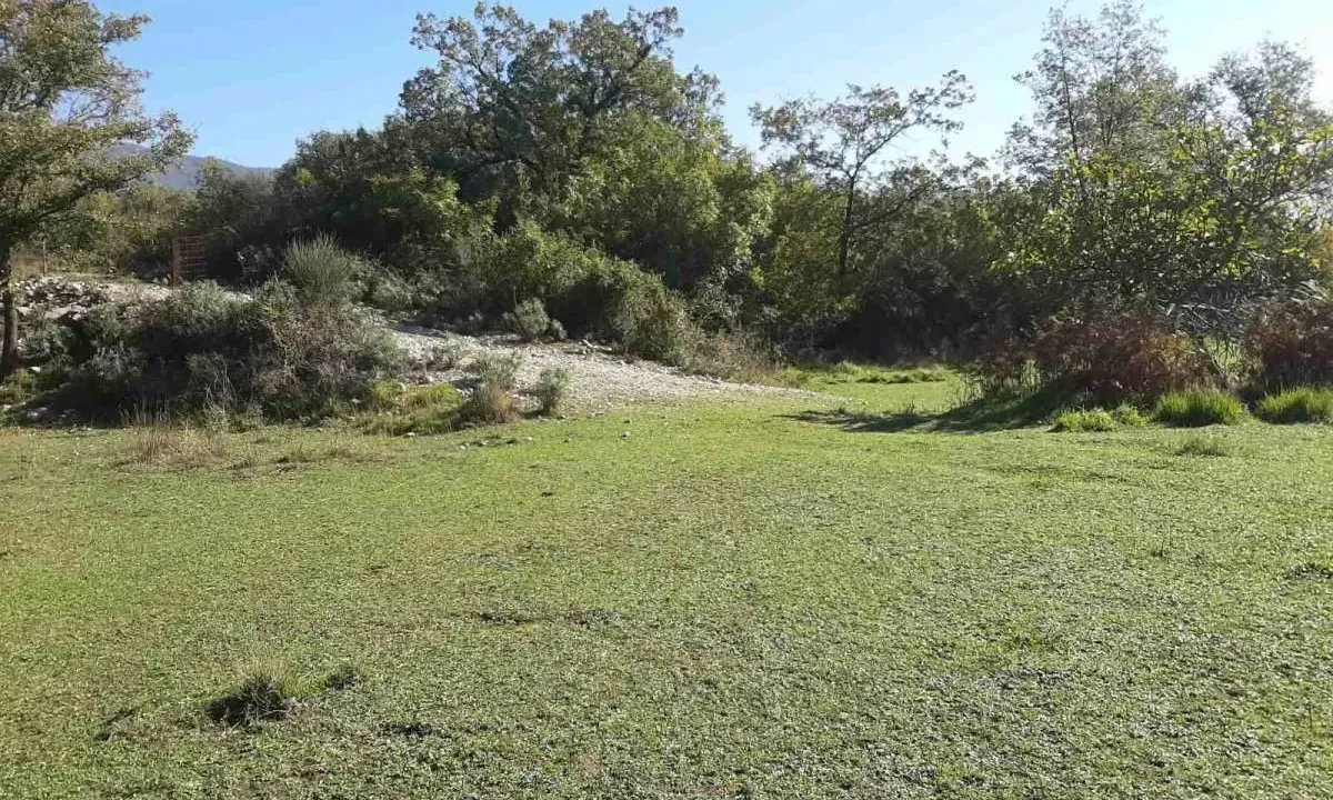 Prodaja, plac, 6200m², Podi, Herceg Novi