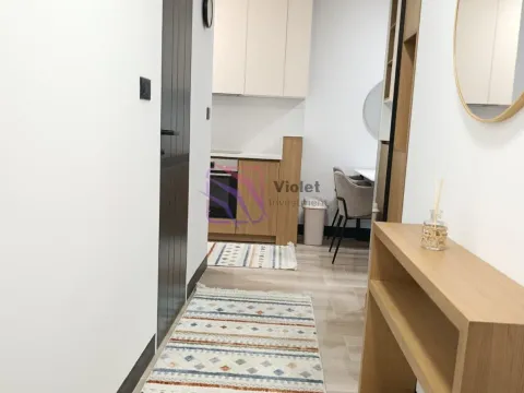Rent, one bedroom apartment, 43m², Zagorič, Podgorica - image 7