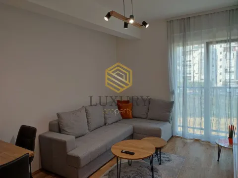 Rent, one bedroom apartment, 36m², Stari Aerodrom, Podgorica - image 8