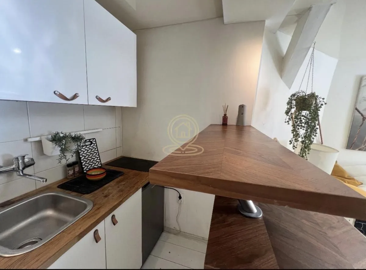 Rent, one bedroom apartment, 29m², Vračar Sve Podlokacije, Beograd