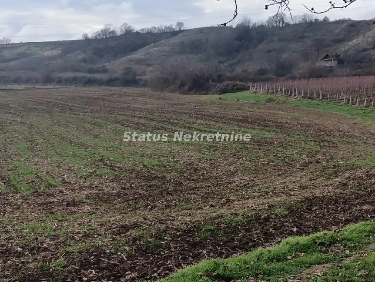Prodaja, plac, 322m², Sremski Karlovci, Novi Sad