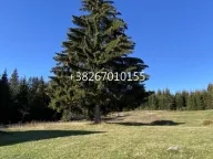 Sale, house, 100m², Žabljak, Crna Gora - image 1