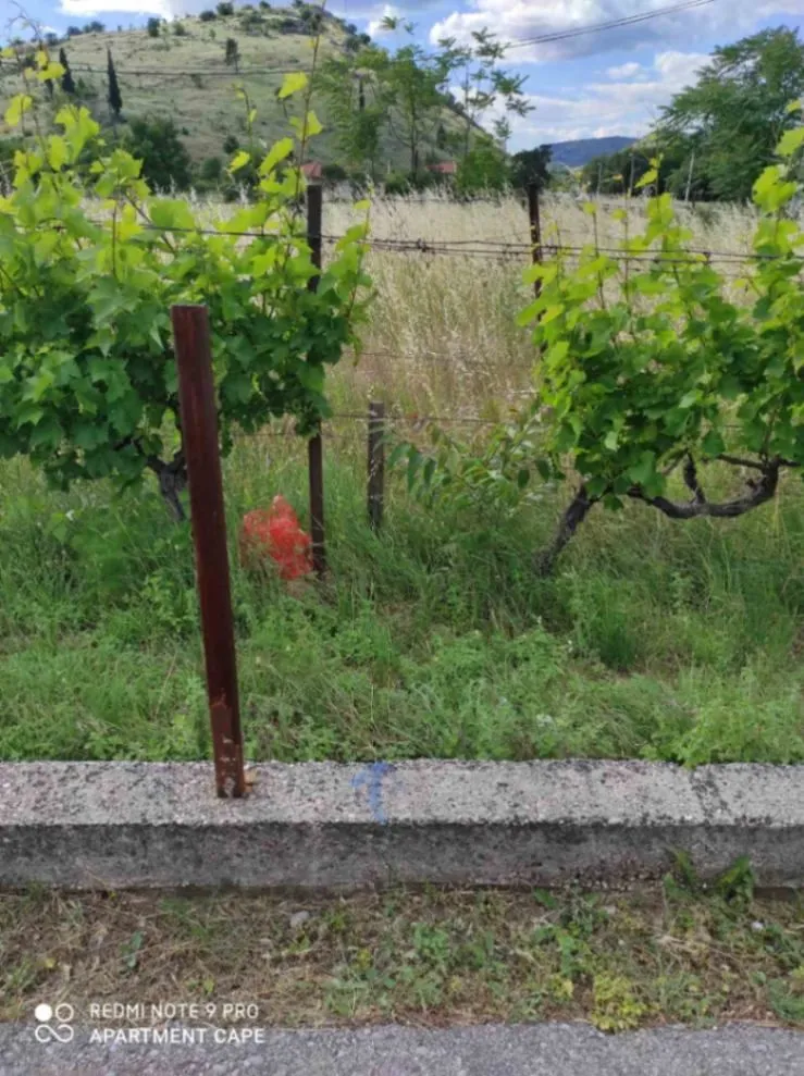 Prodaja, plac, 440m², Velje Brdo, Podgorica