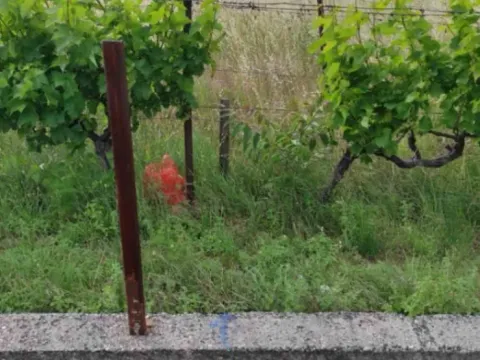 Prodaja, plac, 440m², Velje Brdo, Podgorica - image 3