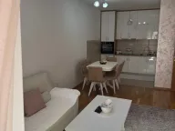 Prodaja, jednosoban stan, 46m², Tuški Put, Podgorica - image 12