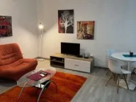 Rent, one bedroom apartment, 45m², Golubovina, Budva - image 4