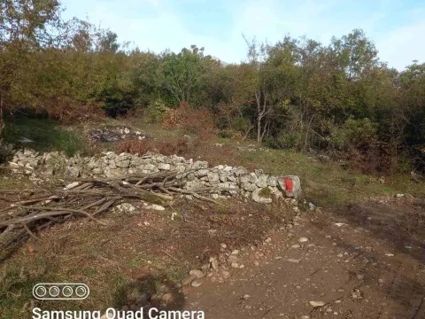 Prodaja, plac, 5000m², Bandići, Danilovgrad - image 7