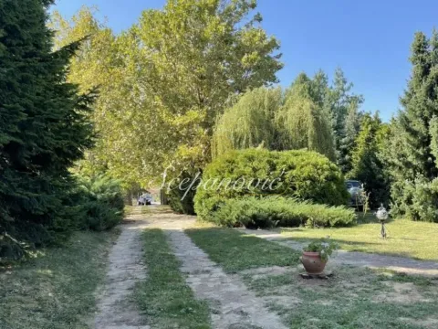 Prodaja, kuća, 202m², Sremska Kamenica, Petrovaradin - image 49