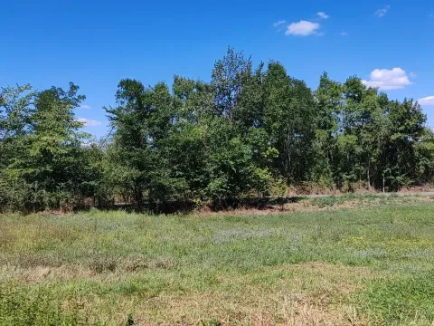 Prodaja, plac, 1581m², Veliki Borak, Barajevo - image 2