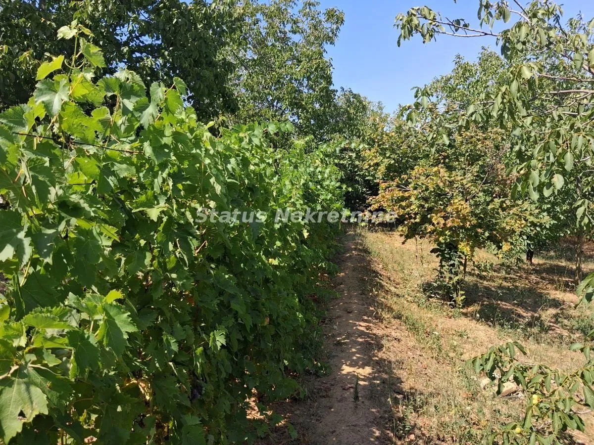 Prodaja, kuća, 30m², Ledinci, Petrovaradin