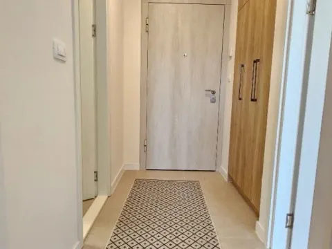 Izdavanje, jednosoban stan, 45m², Zabjelo, Podgorica - image 2