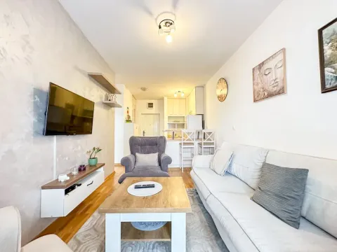 Rent, one bedroom apartment, 40m², Tuški Put, Podgorica - image 2