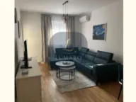 Izdavanje, jednosoban stan, 47m², Stari Aerodrom, Podgorica - image 1