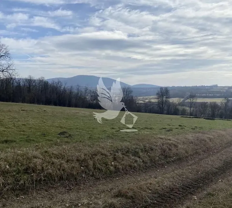 Prodaja, plac, 5500m², Dučina, Sopot