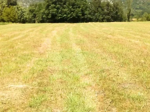 Sale, land lot, 4700m², Danilovgrad, Crna Gora - image 3