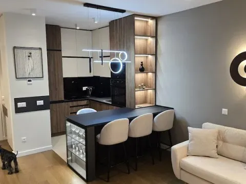 Rent, two bedroom apartment, 45m², Vračar, Šid - image 12