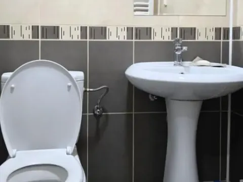 Izdavanje, jednosoban stan, 38m², Nova Detelinara, Novi Sad Sve Podlokacije - image 11