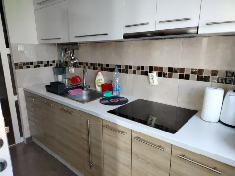 Prodaja, dvosoban stan, 59m², Novo naselje, Novi Sad - image 4