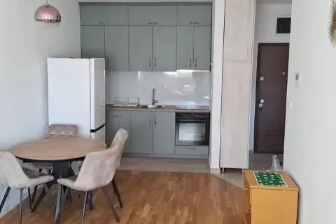 Rent, one bedroom apartment, 45m², Zabjelo, Podgorica - image 2
