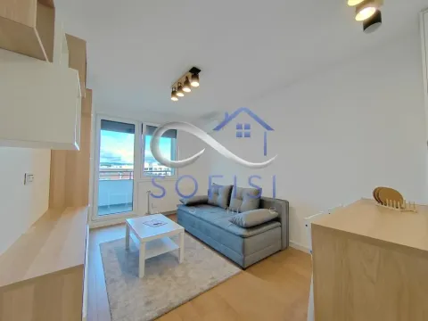 Rent, one bedroom apartment, 32m², Telep, Novi Sad Sve Podlokacije - image 4