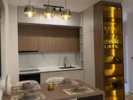 Izdavanje, garsonjera, 65m², Vezirov Most, Podgorica - image 2