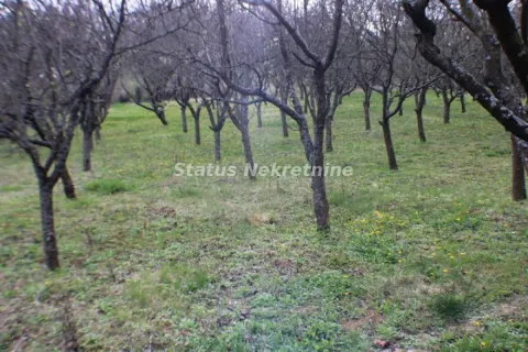 Pogled na plac sa stablima i zelenilom. - image 27