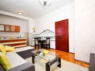 Izdavanje, jednosoban stan, 54m², Stari Aerodrom, Podgorica - image 2