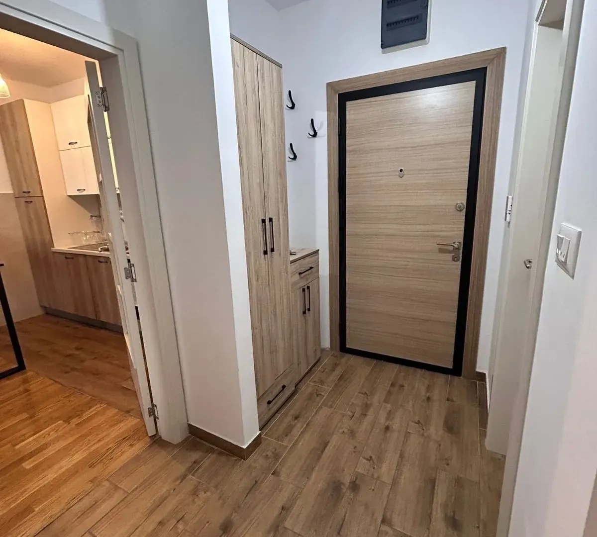 Rent, one bedroom apartment, 42m², Zabjelo, Podgorica
