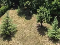 Izdavanje, kuća, 220m², Zemun Sve Podlokacije, Beograd - image 15