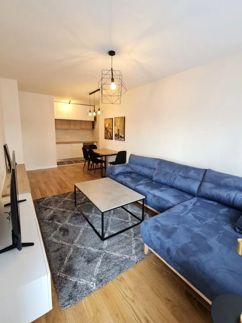 Izdavanje, jednosoban stan, 50m², Central Point, Podgorica
