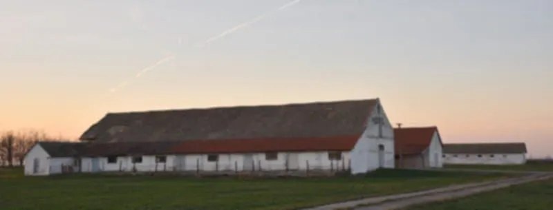 Prodaja, plac, 98000m², Vrbas, Novi Sad