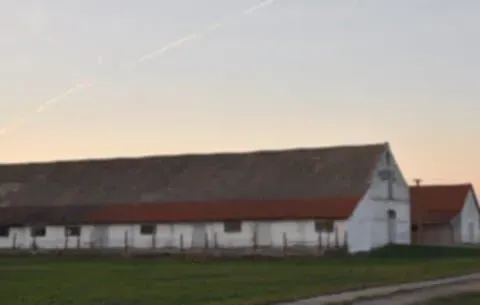 Prodaja, plac, 98000m², Vrbas, Novi Sad - image 4