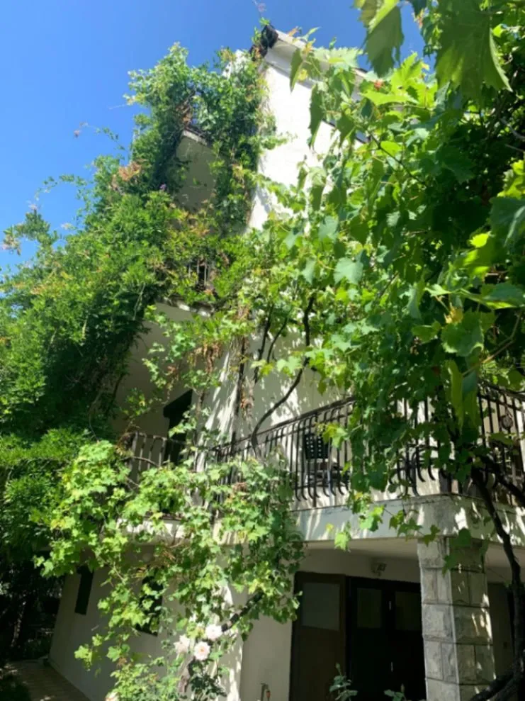 Sale, house, 400m², Budva okolina, Budva