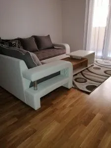 Izdavanje, jednosoban stan, 50m², Tuški Put, Podgorica
