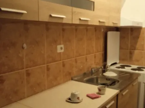 Izdavanje, jednosoban stan, 64m², Stari Aerodrom, Podgorica - image 9