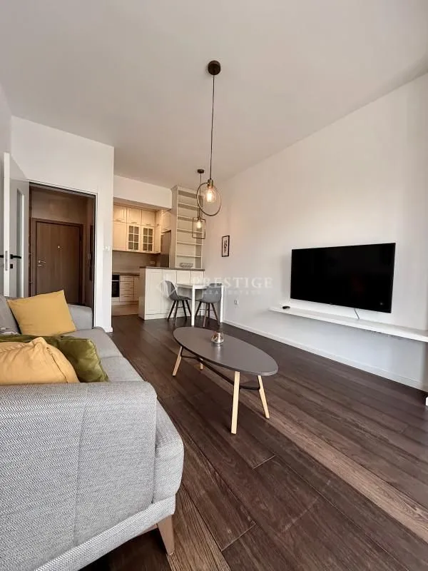Rent, one bedroom apartment, 48m², Vezirov Most, Podgorica