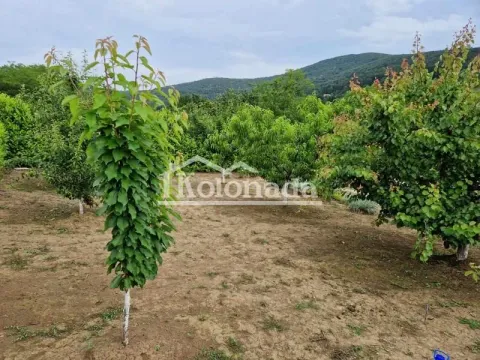 Sale, land lot, 1307m², Nemenikuće, Sopot - image 4