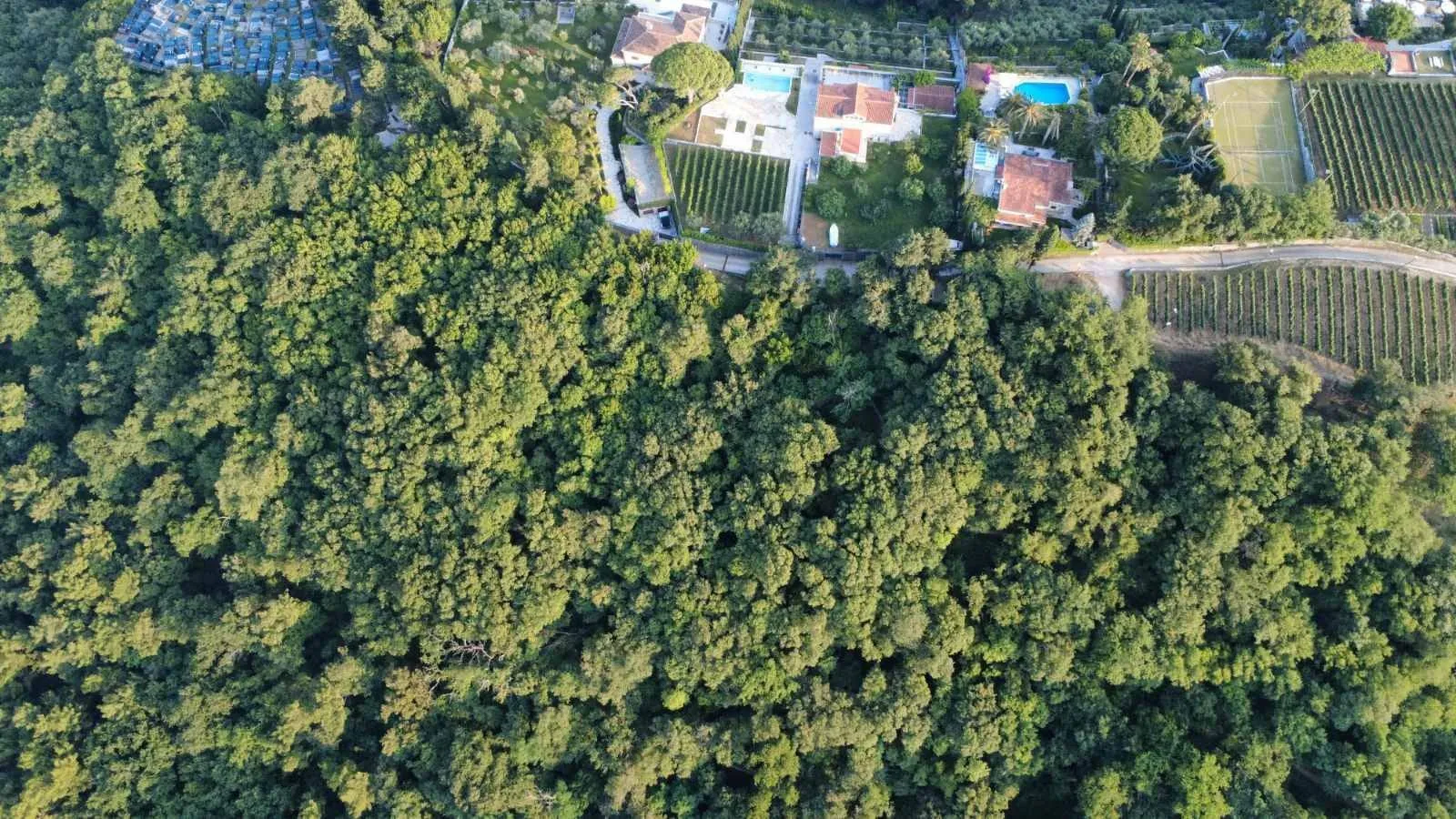 Prodaja, plac, 3728m², Herceg Novi, Crna Gora