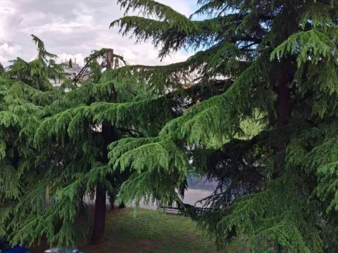 Izdavanje, jednosoban stan, 25m², Preko Morače, Podgorica - image 12