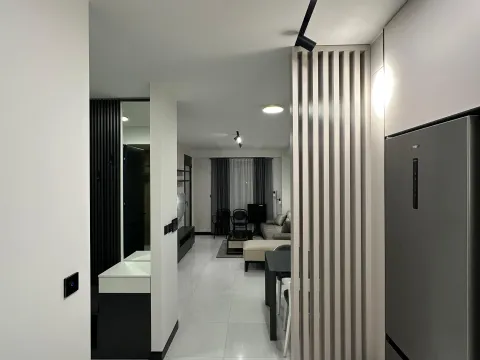 Rent, one bedroom apartment, 45m², Zagorič, Podgorica - image 7