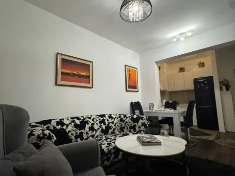 Rent, one bedroom apartment, 48m², Preko Morače, Podgorica - image 3