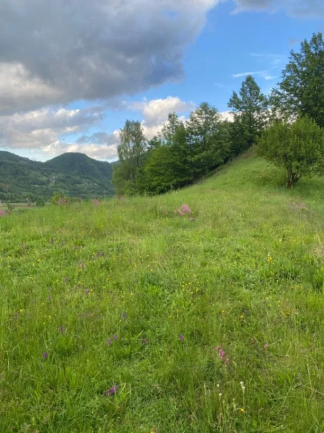 Prodaja, plac, 1350m², Moračko Trebaljevo, Kolašin