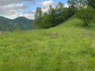 Sale, land lot, 1350m², Moračko Trebaljevo, Kolašin - image 2