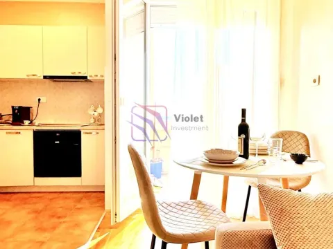 Rent, one bedroom apartment, 30m², Tuški Put, Podgorica - image 2