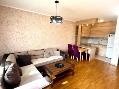 Izdavanje, jednosoban stan, 50m², Ljubović, Podgorica - image 13