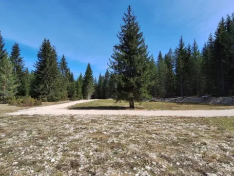 Prodaja, plac, 6750m², Podgora, Žabljak - image 3