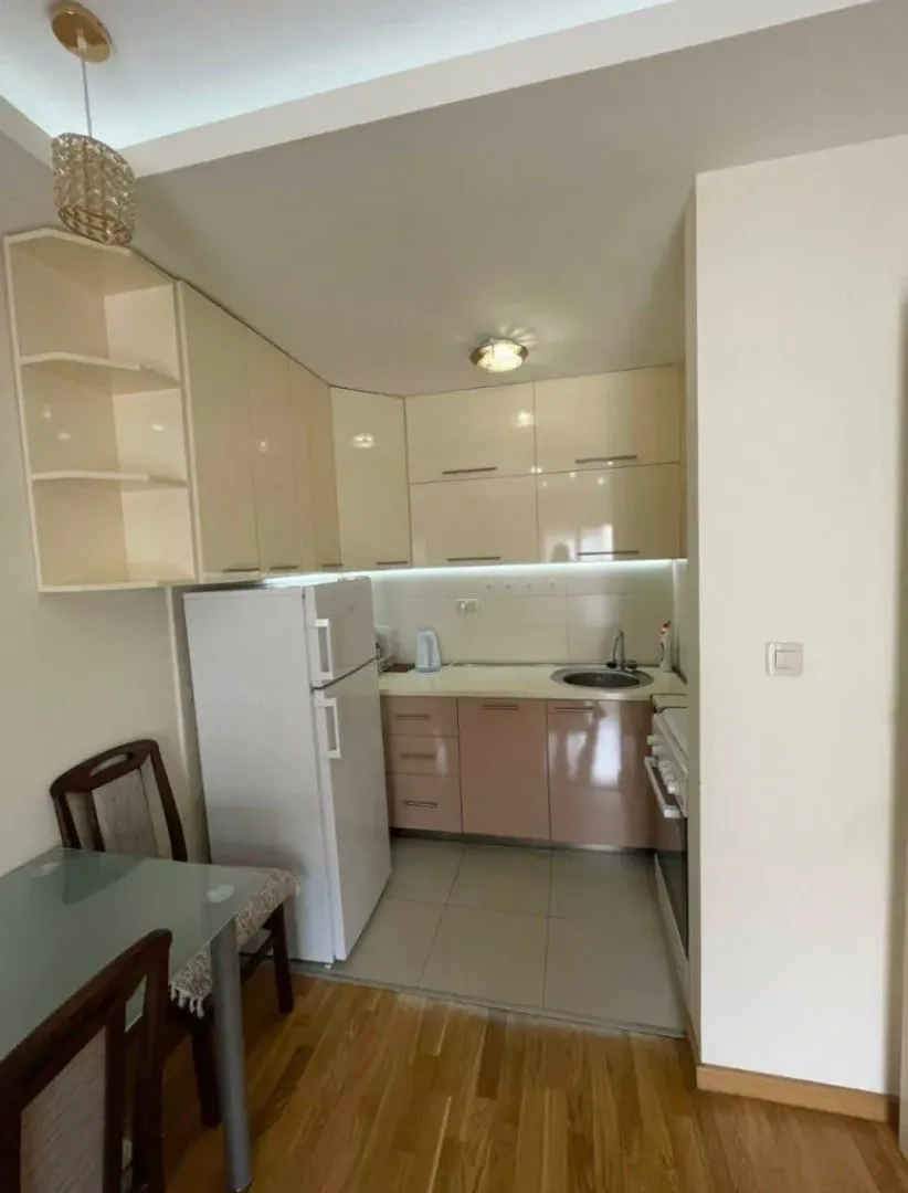 Izdavanje, jednosoban stan, 45m², Zabjelo, Podgorica