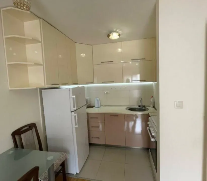 Izdavanje, jednosoban stan, 45m², Zabjelo, Podgorica