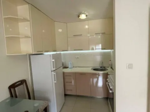 Izdavanje, jednosoban stan, 45m², Zabjelo, Podgorica - image 1