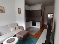 Izdavanje, jednosoban stan, 42m², Velji Vinogradi, Budva - image 10